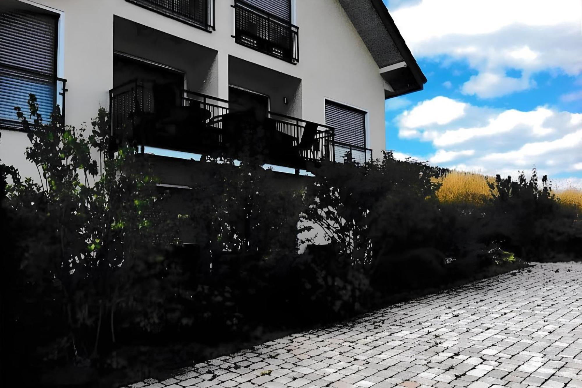 Ferienwohnung Blanco In Willingen 빌링겐 외부 사진