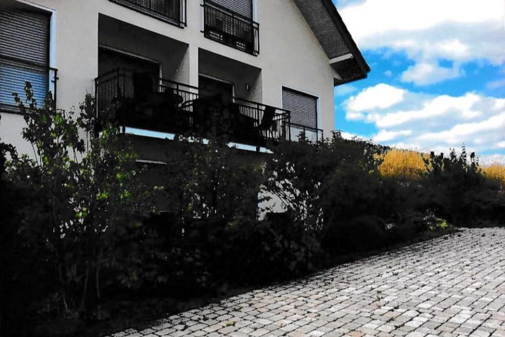 Ferienwohnung Blanco In Willingen 빌링겐 외부 사진